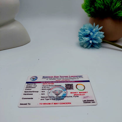 Money Magnet Bracelet