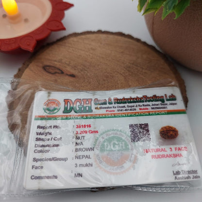 3 Mukhi Rudraksha
